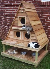 Een mooi kattenhuisje met puntdak